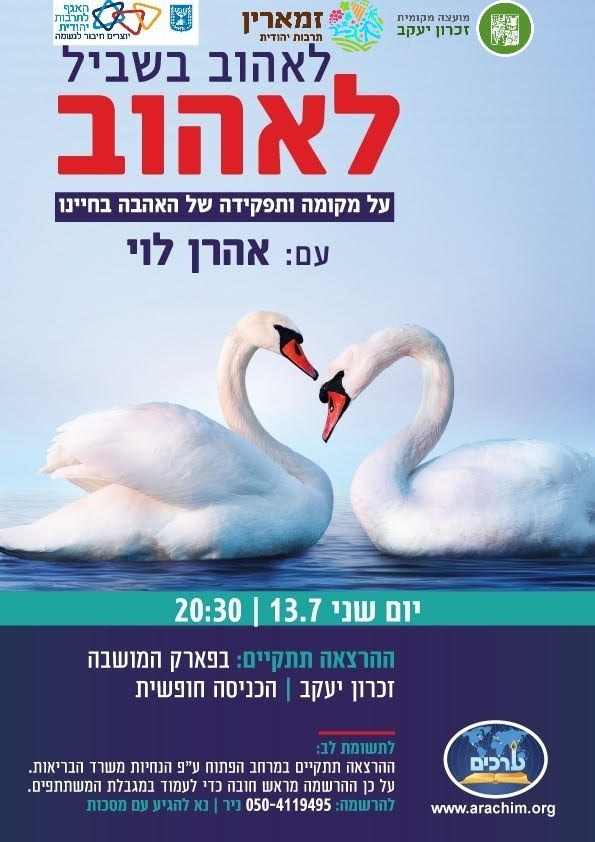 אהרון לוי 13.7